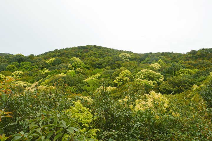 【旅行】2018惠州-罗浮山穿越