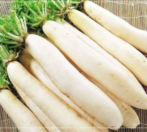 新鲜萝卜怎么腌制好吃