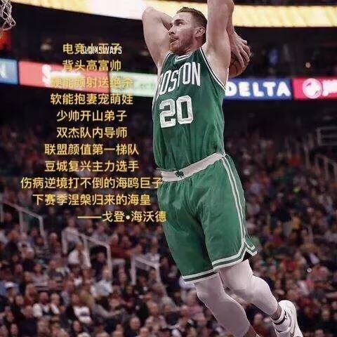 绿军众将图文详解