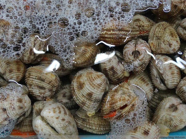 尖波螺的营养价值