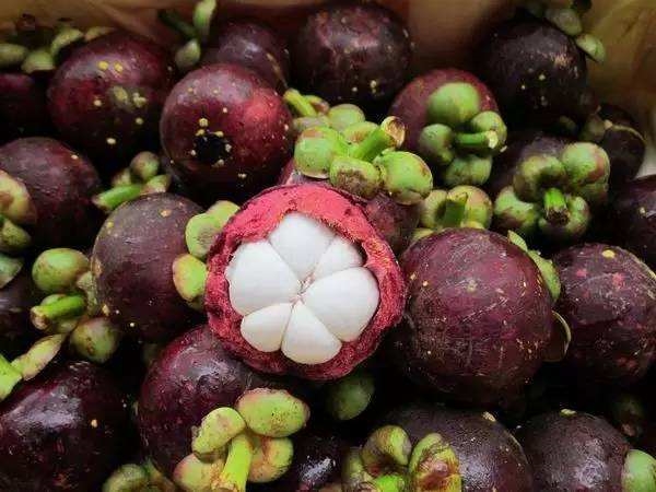 山竹的营养价值