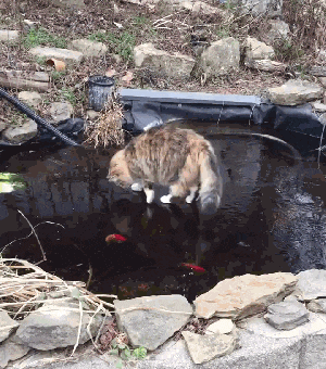 世界上最遥远的距离就是~看得见，吃不着