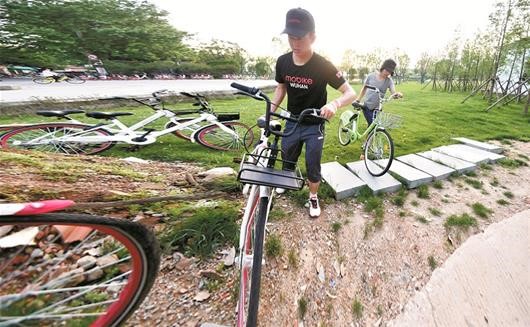 武汉有群“猎人”专找违停单车 无任何报酬仍乐此不疲