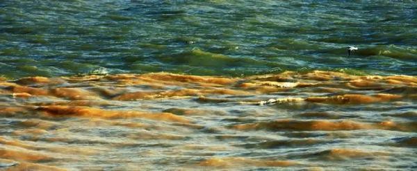 没见过的黄河全貌，简直美翻了！所有人都值得一看