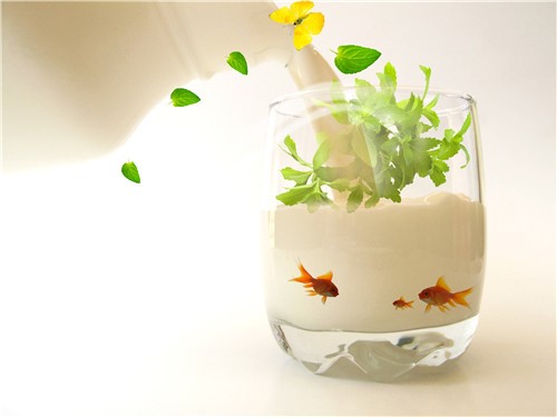 吃什么食物养胃治胃病 胃不好多吃护胃食物