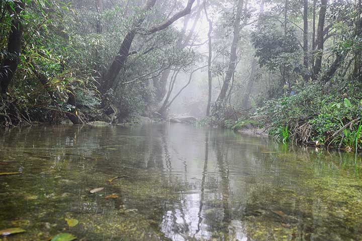 【旅行】2018惠州-罗浮山穿越