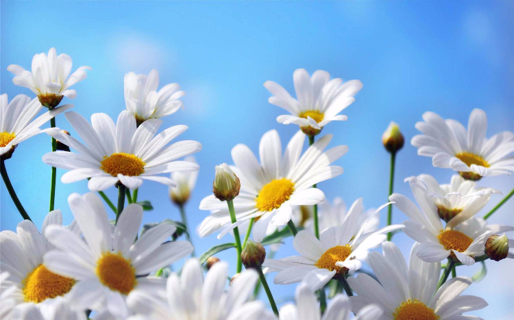 当你不想努力时，去趟医院就好了