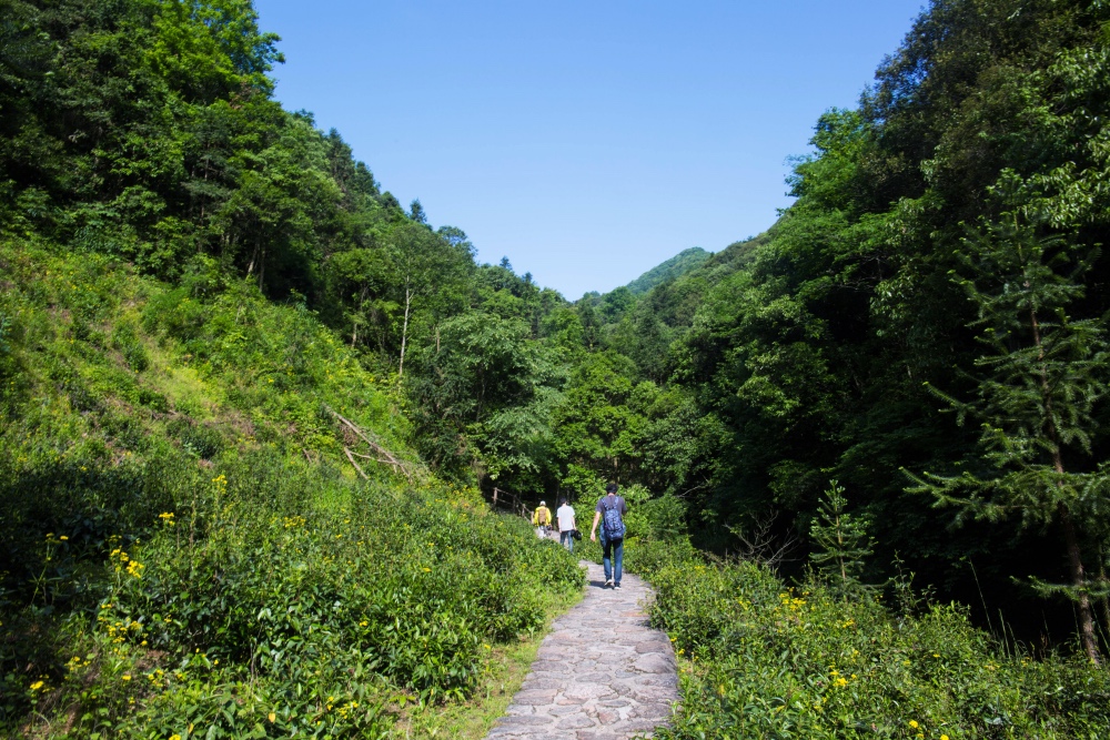 成龙为什么要捐赠古建筑，去了严家古村就明白了