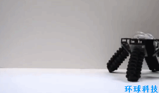 世界首个软体机器人面世！可驾驭复杂地形 体态萌翻