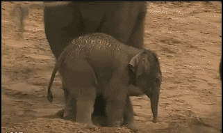 二师兄，我把你当兄弟，你居然想....