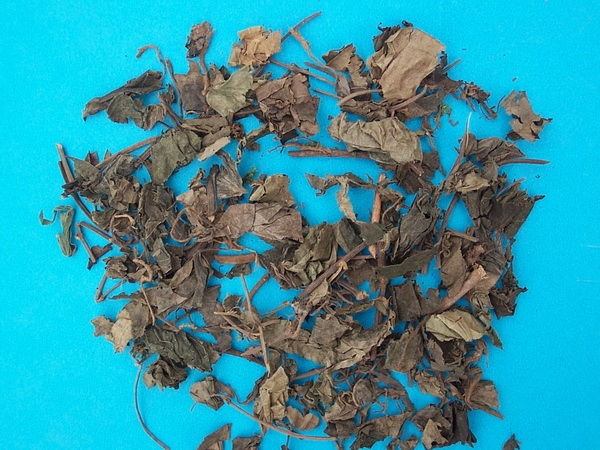 南藤的药用价值_南藤的副作用