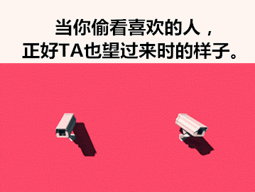 那些神一样的配文，卧槽，简直太形象了！毫无违和！！