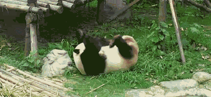 二师兄，我把你当兄弟，你居然想....