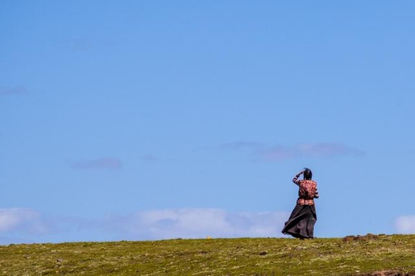 为什么藏族同胞不容易高反？ 