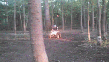 你是对面派来的卧底吧