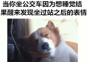 那些神一样的配文，卧槽，简直太形象了！毫无违和！！