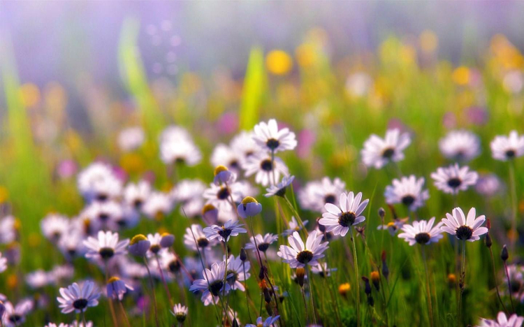 十句精选正能量句子