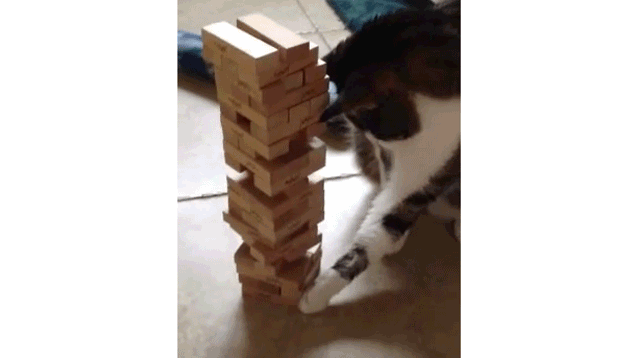 可能这就是跨越种族的爱恋吧