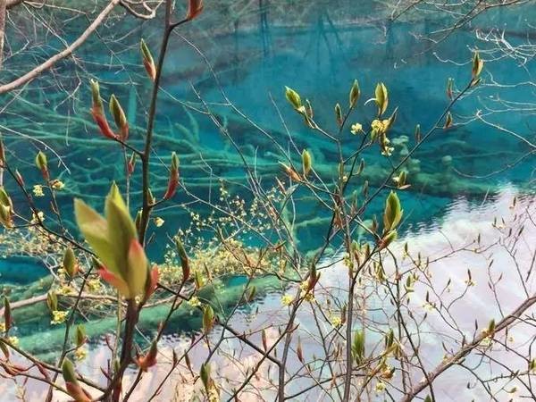 等你，在最美的风景里