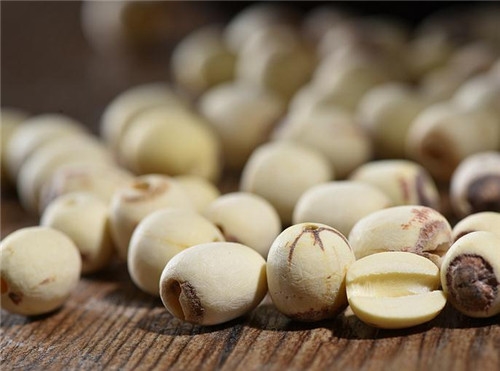 夏季心火旺怎么调理 快来碗莲子龟苓膏清火