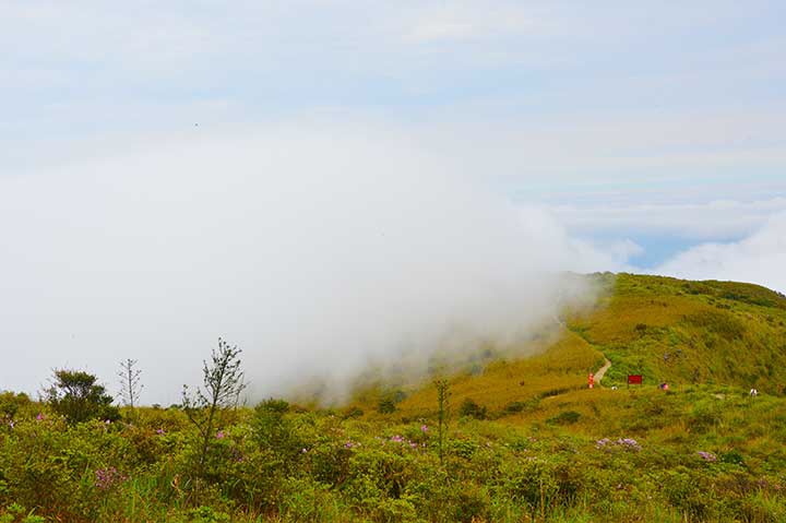 【旅行】2018惠州-罗浮山穿越