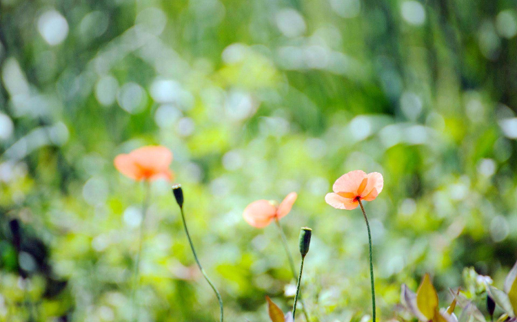 我们相爱相杀，却还竭力扮演无辜