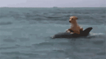 高手之间的对决 看谁的嘴硬