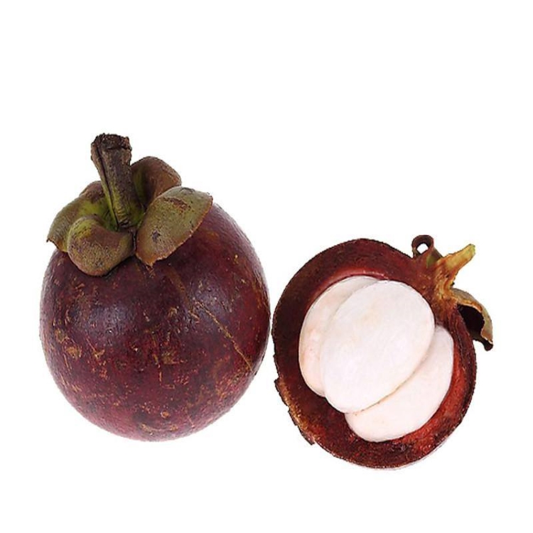 山竹的营养价值