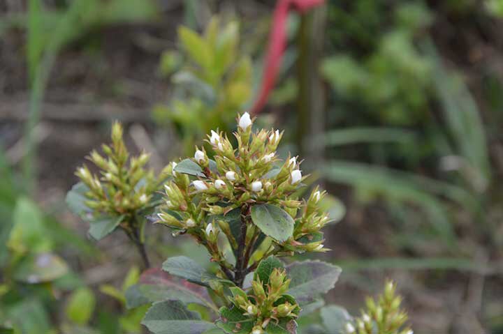 【旅行】2018惠州-罗浮山穿越