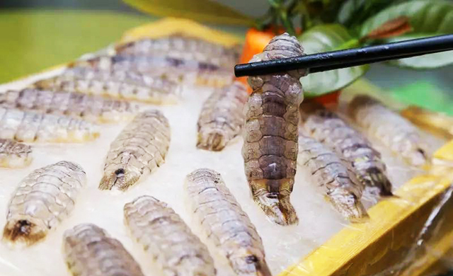 光知道皮皮虾好吃，但这种吃法，你肯定没尝试过！