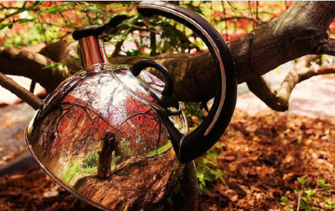 一位带着茶壶去旅行的妹子