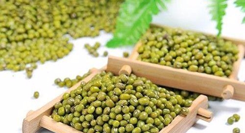 过了青春期还是狂长痘？别怕，三大“清痘方”来帮你！