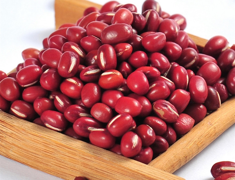 红豆冬瓜皮汤的作用