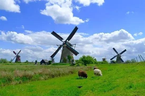 荷兰风车故事 是一首随风起舞的乡村民谣