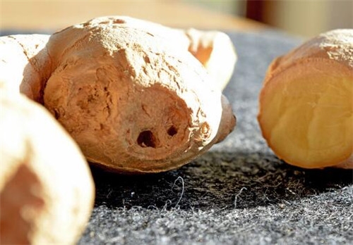 生姜的功效与作用 这样的生姜不能吃