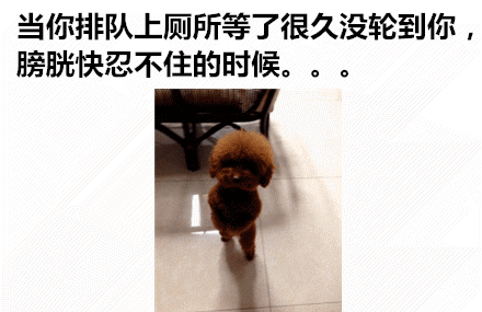 那些神一样的配文，卧槽，简直太形象了！毫无违和！！