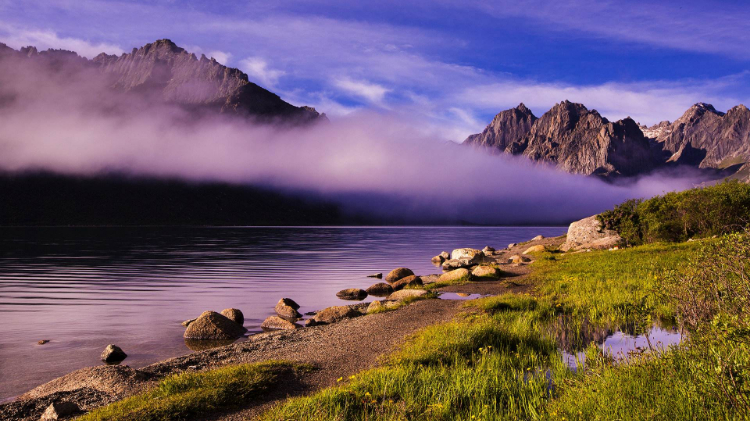 没有人是生来就无情的，都是经历并看到了太多自己不想看到的，而最终选择了关上自己的某扇门。 ​​​​