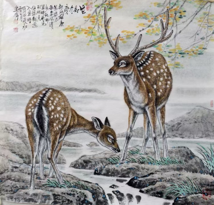 不惑人生 与狼共舞