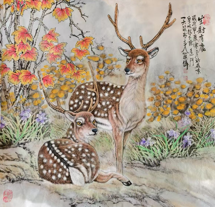 不惑人生 与狼共舞