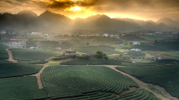 唯美护眼田园风景