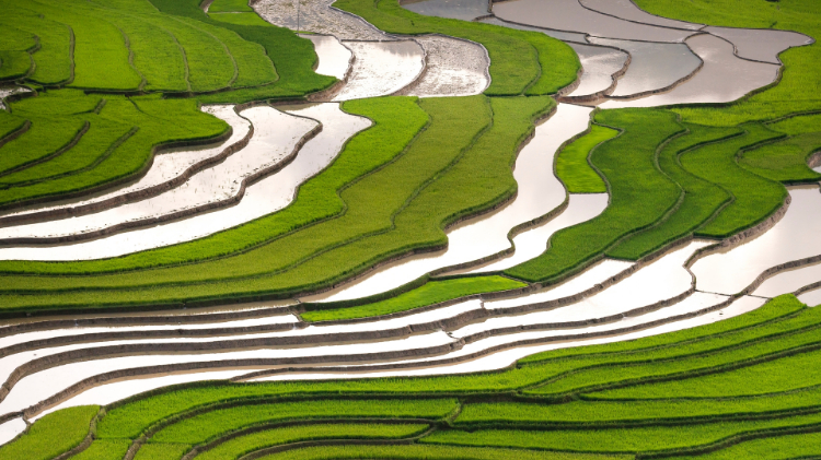 唯美护眼田园风景