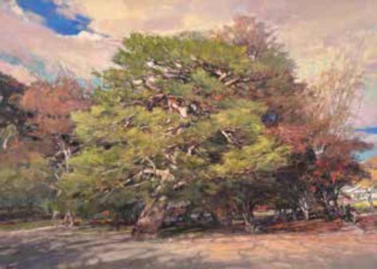 生命的力量——读宣新明的渔民系列作品有感