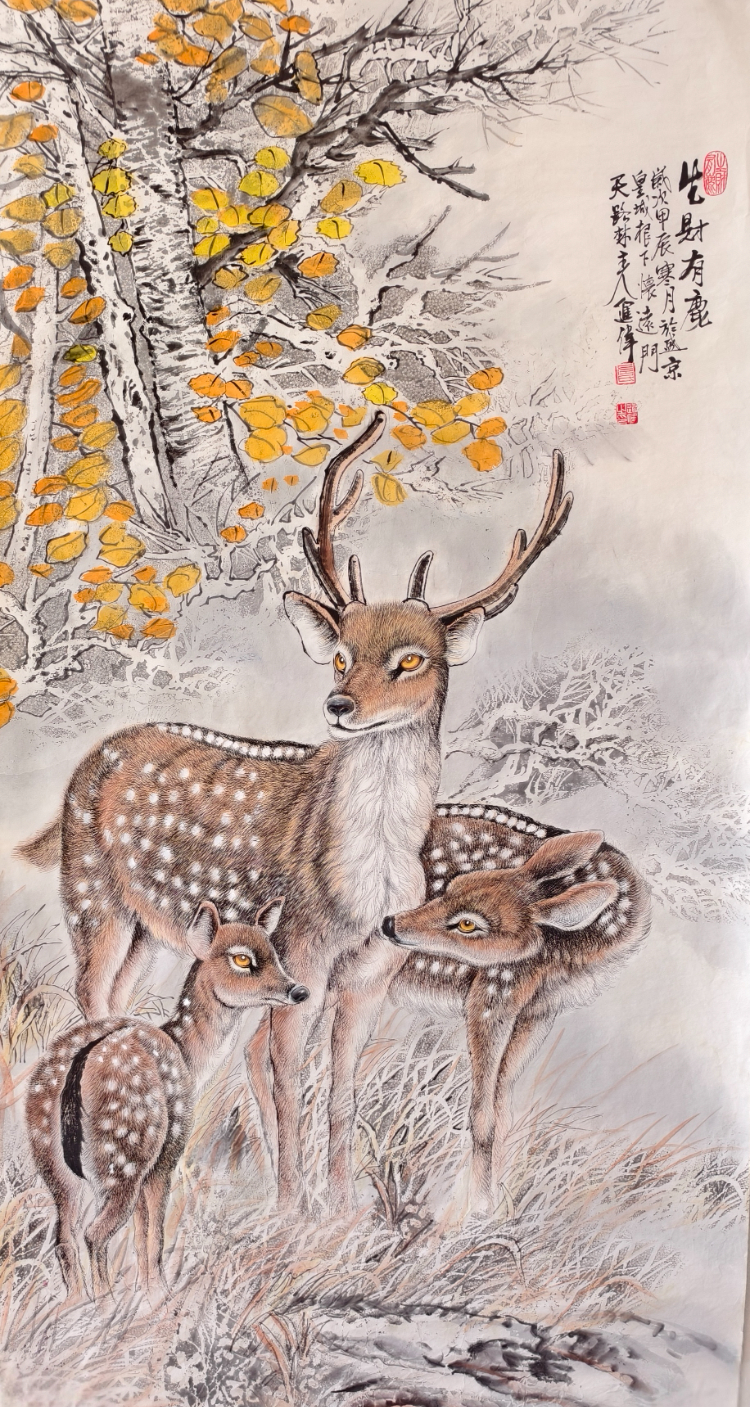 不惑人生 与狼共舞