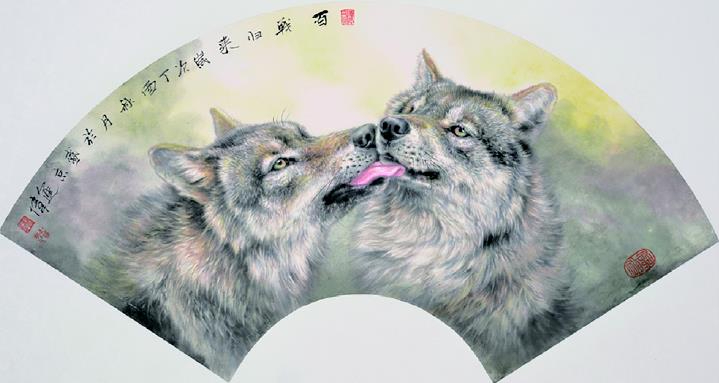 左进伟：与狼共舞