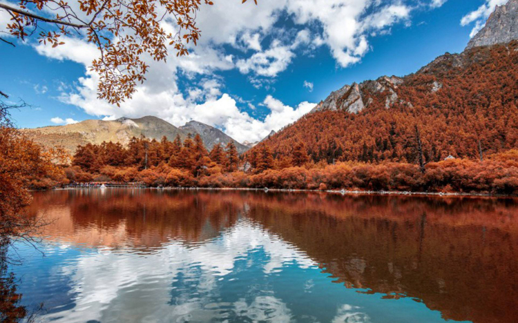 没有人是生来就无情的，都是经历并看到了太多自己不想看到的，而最终选择了关上自己的某扇门。 ​​​​