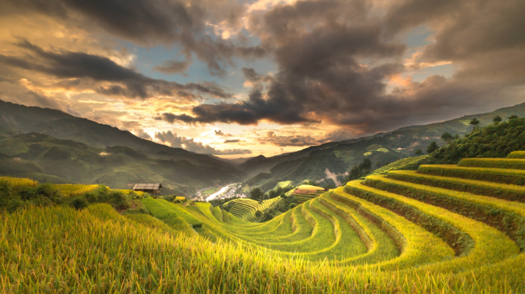 唯美护眼田园风景