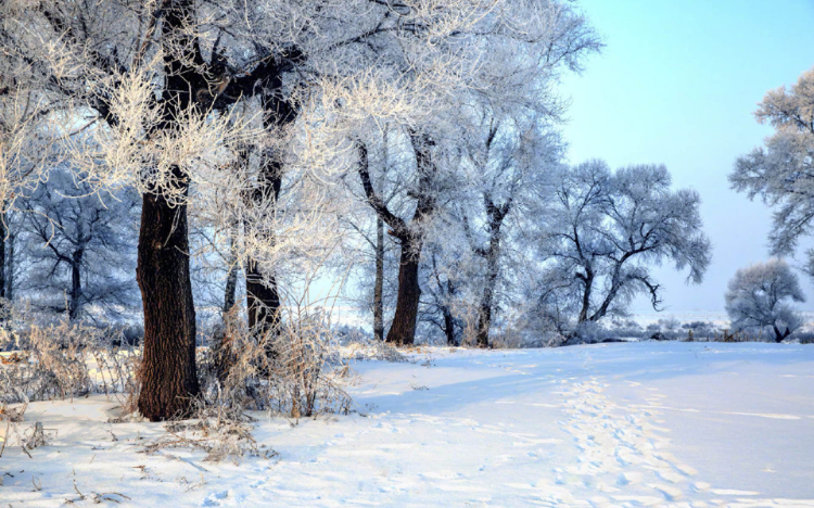 雾凇岛唯美雪景