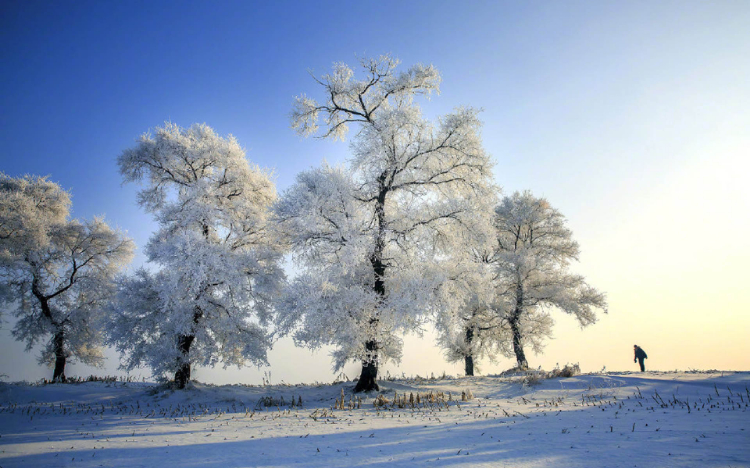 雾凇岛唯美雪景