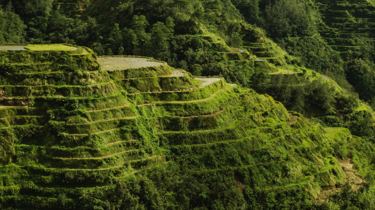 唯美护眼田园风景