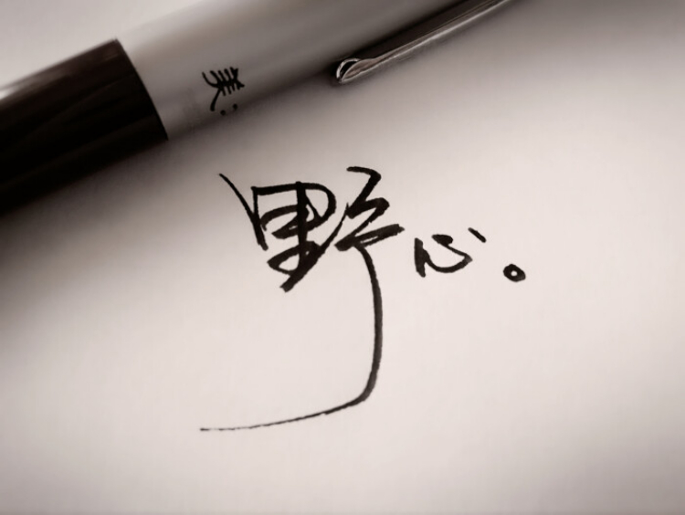 这三大星座极具野心,本性低调,生来高傲,有目标,更有实力 这三大星座极具野心,本性低调,生来高傲,有目标,更有实力